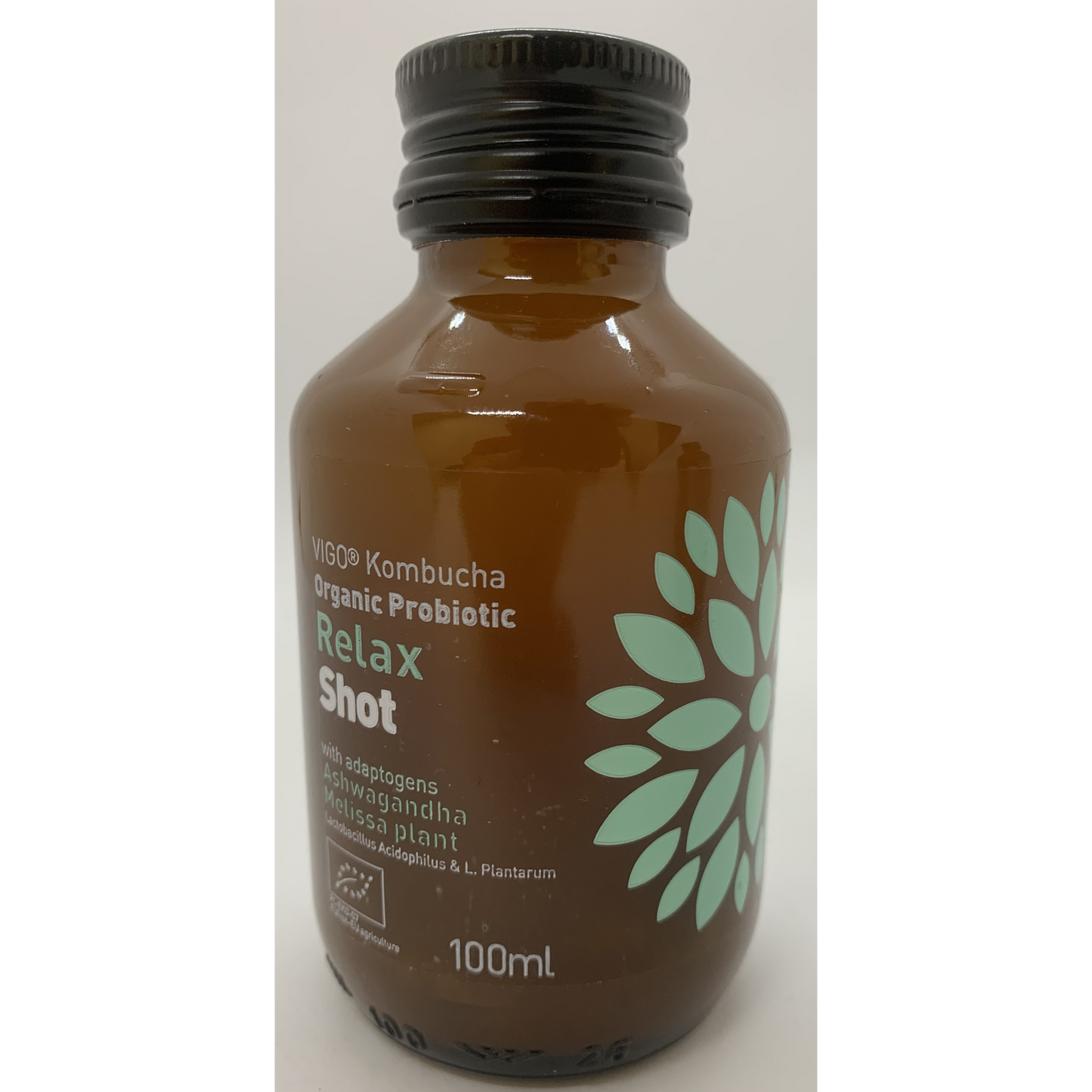 Vigo Relax Shot bio kombucha ital 100 ml